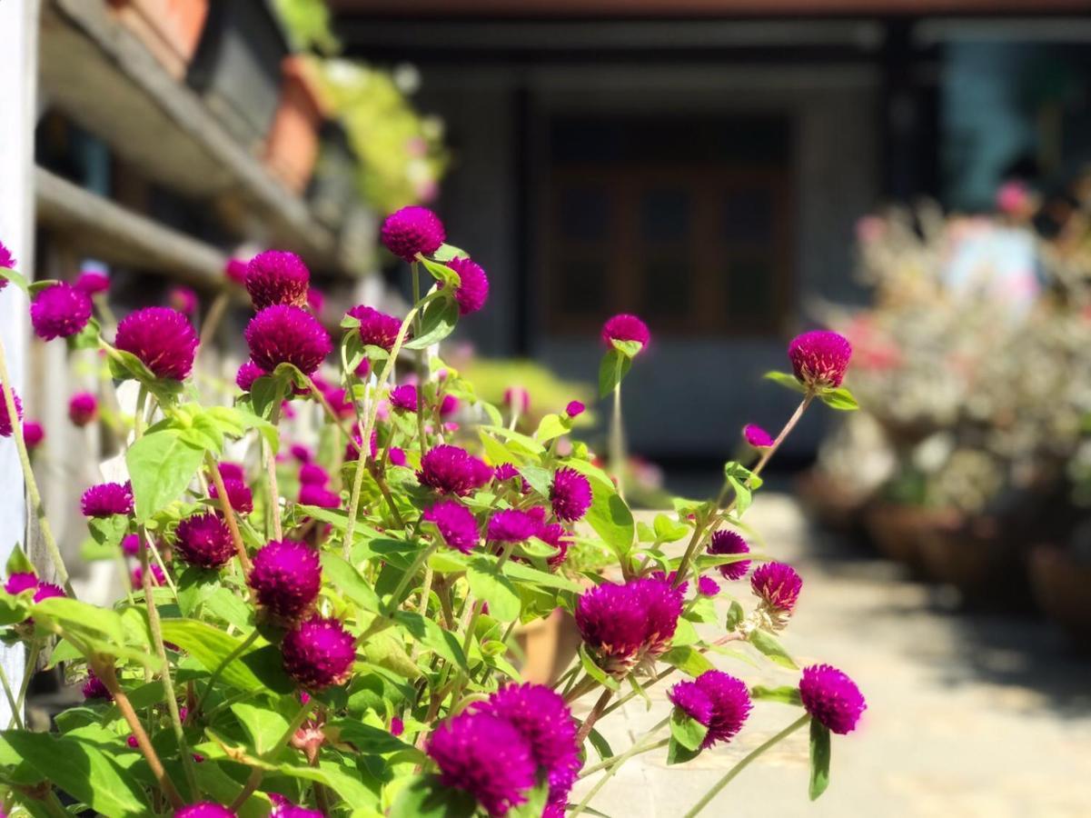 Mangrove House Lanta Old Town Koh Lanta Exterior foto